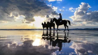 Le cheval occupe une grande place dans l’histoire et la culture palestiniennes. Des cavaliers galopent ici sur la plage de Gaza.