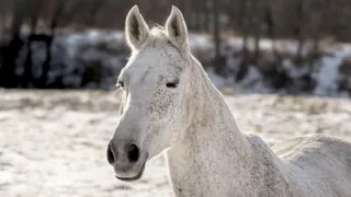 Toute l’équipe de GRANDPRIX vous souhaite une belle et heureuse année 2026
