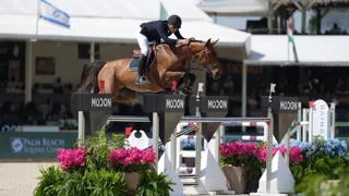 Caracole de la Roque a gagné une épreuve à 1,45m à Wellington le week-end passé