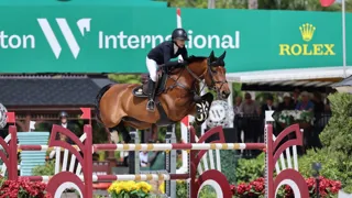 Narado a impressionné Wellington hier