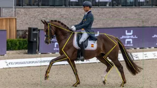 Les utilisations potentielles de l’IA en dressage ont été abordées au Forum des sports de la FEI lundi
