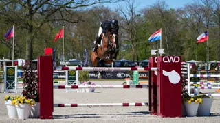 Millie Allen a été la meilleure dans la première épreuve majeure CSI 3* de Compiègne Classic avec Quick Diamant HR