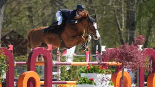 Julien Anquetin et Fiona des Ibis ont victorieusement conclu le Tour Gagnant du Prix Aloga.