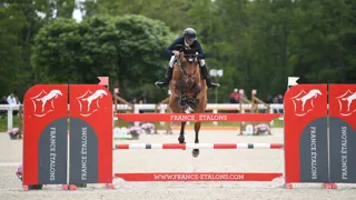 Ici au Lion-d’Angers, Sébastien Cavaillon et Elipso de la Vigne ont remporté le CCI 4*-S de Vittel cet après-midi