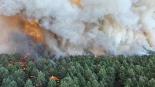 Plusieurs incendies ravagent actuellement la forêt de Fontainebleau