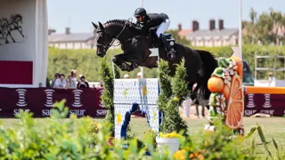 Lors du CSI 4* de Chantilly Classic, Omar Abdul Aziz Al Marzooqi et Enjoy de la Mûre ont terminé troisièmes du Grand Prix. 