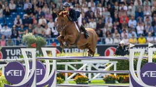 Selon Éric Louradour, une assiette légère, mobile et disponible lie nombre de cavaliers de saut d'obstacles.