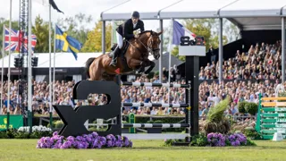 Vainqueur du Grand Prix du CSI 5* de Bruxelles en août, Gangster Montdésir est le meilleur Selle Français de la saison selon le classement de la WBFSH.