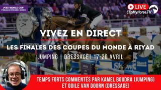 Tous les temps forts seront commentés par Kamel Boudra (jumping) et Odile Van Doorn (dressage) ! 