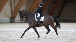 Alexia Pittier, ici aux rênes de Frauenheld, l’un de ses deux chevaux de tête qui lui a permis de découvrir le sport international, pourrait disputer ses premiers Jeux paralympiques cet été, à Versailles.
