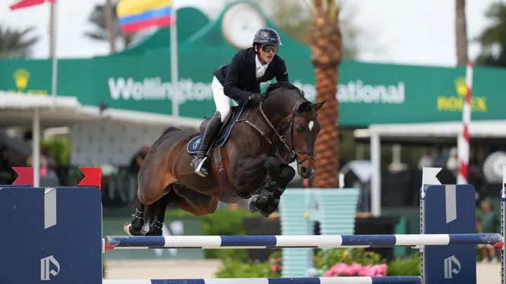 Mark Bluman et Ubiluc se sont imposés à Wellington après un superbe second passage