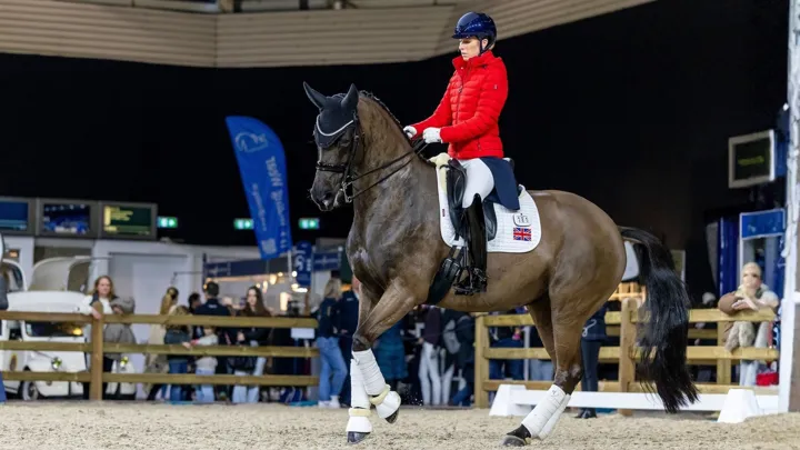 Charlotte Dujardin et Alive And Kicking sont ici sur la carrière d’échauffement du CDI-W d'Amsterdam