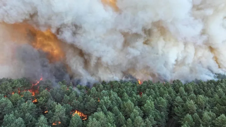 Plusieurs incendies ravagent actuellement la forêt de Fontainebleau
