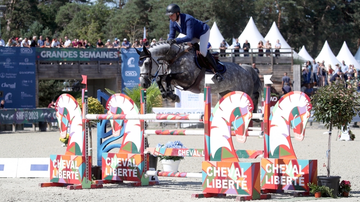 Sacrée championne de France des chevaux de sept ans à Fontainebleau avec François-Xavier Boudant, Gloria des Besnards est issue de la même souche que Dubaï du Cèdre, médaillée de bronze aux championnats d’Europe de Milan avec Julien Épaillard.