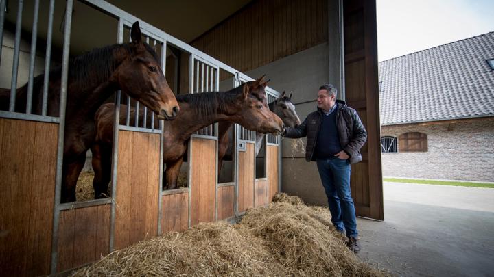 Marchand de chevaux de renom, Luc Tilleman s’est lancé dans l’élevage voici quinze ans avec son épouse Kaat Lenaerts.