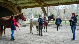 Olivia Kopp, enseignante d’équitation western, a animé un atelier consacré au mountain trail, activité considérée comme particulièrement adaptée au public adulte.
