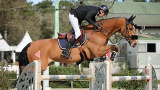Cédric Hurel et Fantasio Floreval semblent bien partis pour réussir une nouvelle année fructueuse.
