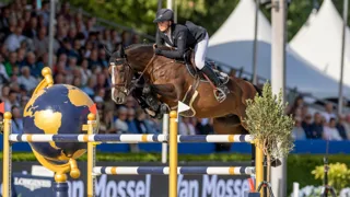 Kaiser DMH a remporté ce vendredi le Grand Prix des étalons de Lanaken avec Kim Emmen.