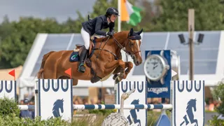 Fils d’Emerald, Easy Peasy Indebus a remporté le titre mondial des chevaux de six ans aujourd’hui à Lanaken.