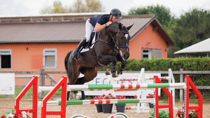 Equest Auction, vente aux enchères de chevaux de saut d'obstacles allant des jeunes aux espoirs de Grand Prix