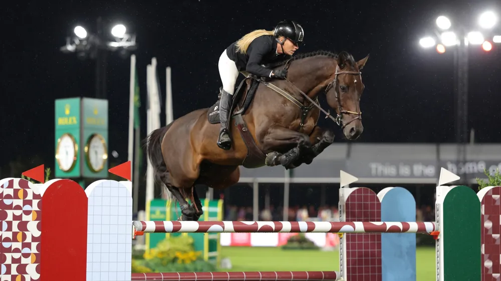 Selon la WBFSH, Uno 56, alias Bull Run's Jireh, est le meilleur cheval de l'année, ce qui permet de mettre en lumière son éleveur, Timm Peters.