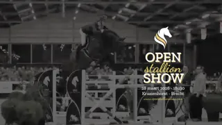 Vooruitblik naar de Open Stallion Show