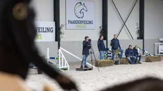 Ontdek de veilingkalender voor 2026