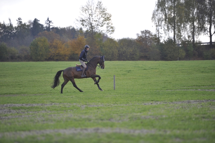 Reprise des concours en Suisse