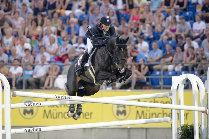 vente Ekestrian Stallions