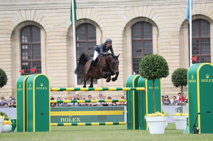 Nouvelles paillettes disponibles pour Bellini Dufaure de L, l’étalon phare du haras du Breuil