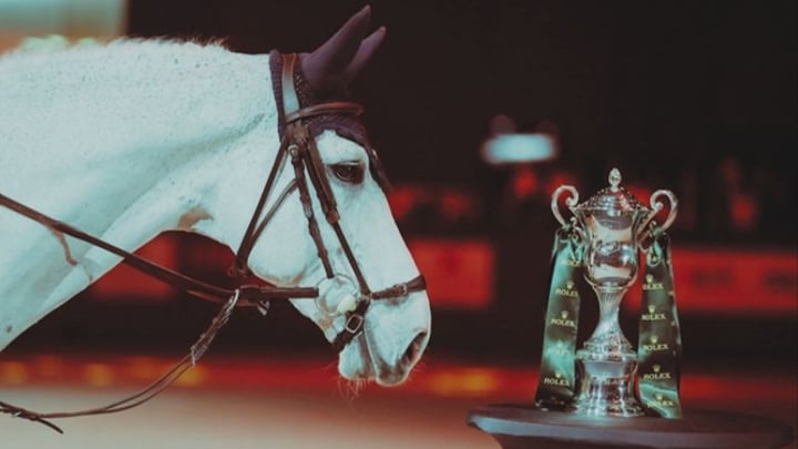 Alpha Mares Auction vous propose une nouvelle collection d’embryons exclusifs 