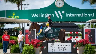 Winst voor Electrique van het Cauterhof Z