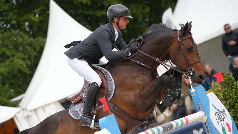 Donatello d'Auge a remporté son seizième Grand Prix international !