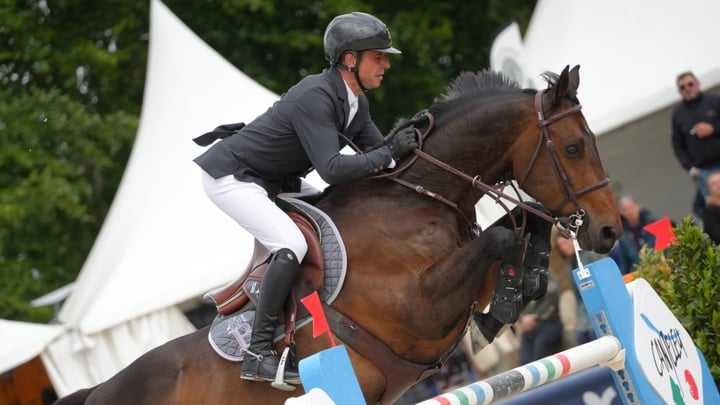 Donatello d'Auge a remporté son seizième Grand Prix international !