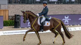 Identification automatique, par le logiciel d’IA de l’IFCE et de l’École française d’électronique et d’informatique, des principaux segments anatomiques d’un cheval sur une image. De tels outils faciliteront la caractérisation des animaux, utile à la recherche, à la sélection et aux éleveurs pour leurs croisements.