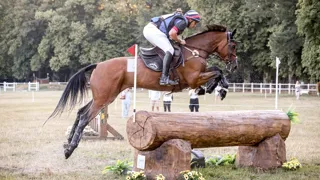 L’Agence française de lutte contre le dopage a suspendu Elipso de la Vigne, le cheval de tête de Sébastien Cavaillon, pour une durée d’un mois.