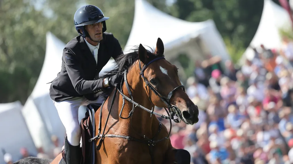 Après la fin de son aventure avec Kevin Staut, New Libero One d'Asschaut a effectué ses premières sorties en compétition avec son nouveau cavalier en décembre.