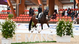 Le Pôle Européen du Cheval propose une fin d'année 2026 riche en événements équestres