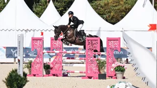 Descendante de Le Coultre du Muze et d’une mère par Landor S, Maguy d’Écaussinnes, championne de France des sept ans au So’Pony avec Dylan Ringot, présente un pedigree exempt de sang poney.