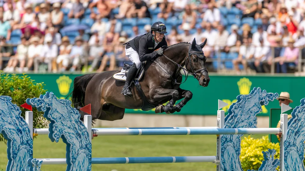 Si Coolio 42 excelle aujourd'hui au plus haut niveau sous la selle de Marcus Ehning, c'est en partie grâce au travail du Français Clément Dagobert, qui l'a débourré puis initié à la compétition à quatre ans.