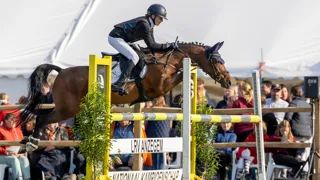 Lotte De Pauw en Rythmic van de Groenheuvel wonnen goud in Zoersel