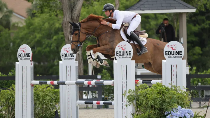 Louis Le Grelle won eerder dit jaar in Wellington met New Life van het Hellehof