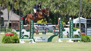 Kester de Nyze Z schittert meteen in Amerika na verkoop