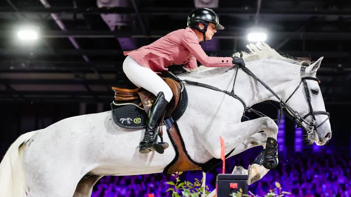Cet hiver, Ehning Flamingo a continué sa progression et prouvé qu'il était un véritable cheval de 5*.