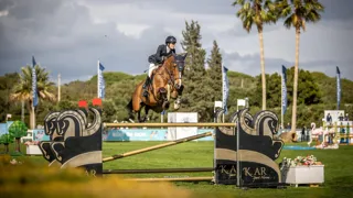 Francois Van Duffel ziet fokproduct Olympic GL FVD schitteren in 1m55 Grote Prijs