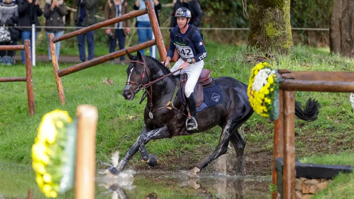 Selon Gérard Brescon, Dartagnan de Béliard, ici au Mondial du Lion, est le plus beau cheval qu’il ait fait naître.