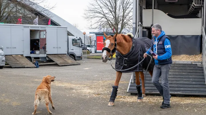 Vooruitblik naar een nieuwe internationale week