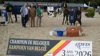 Ramsès I Waloppe schrijft Belgisch kampioenschap bij driejarigen op zijn naam