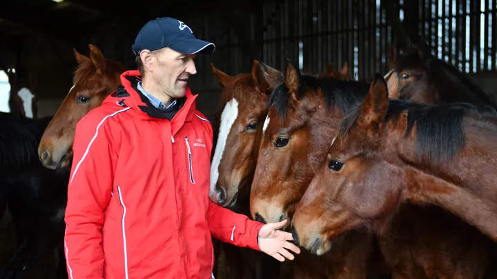 Entouré de ses poulains, Jean-Luc Dufour s'épanouit dans un métier d'éleveur qu'il a toujours convoité.