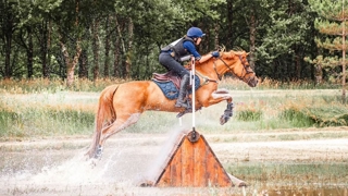 Le week-end dernier, le championnat de France As Poney Elite de CCE a sacré Allister Muriel et Coccinelle de la Rive.